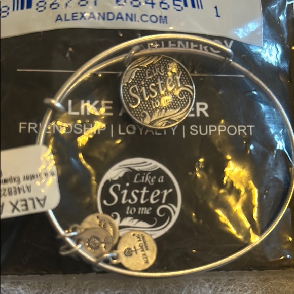 Alex and Ani Silver Expandable Bangle - Picture 2 of 2